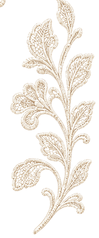 The vine from the Lace Affair theme