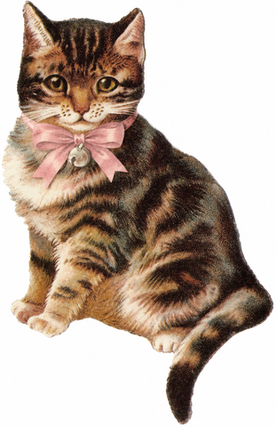 The tabby from the Her Bridal Debut theme